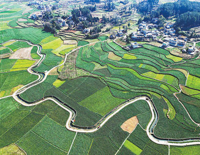 因地制宜改善農村人居環境（金臺視線）:室內環境改善